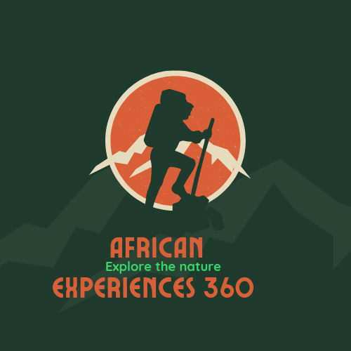 African Experience 360 logo